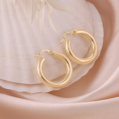 A Touch of Royalty 9 Carat Yellow Gold Earrings A Touch of Timeless Splendor