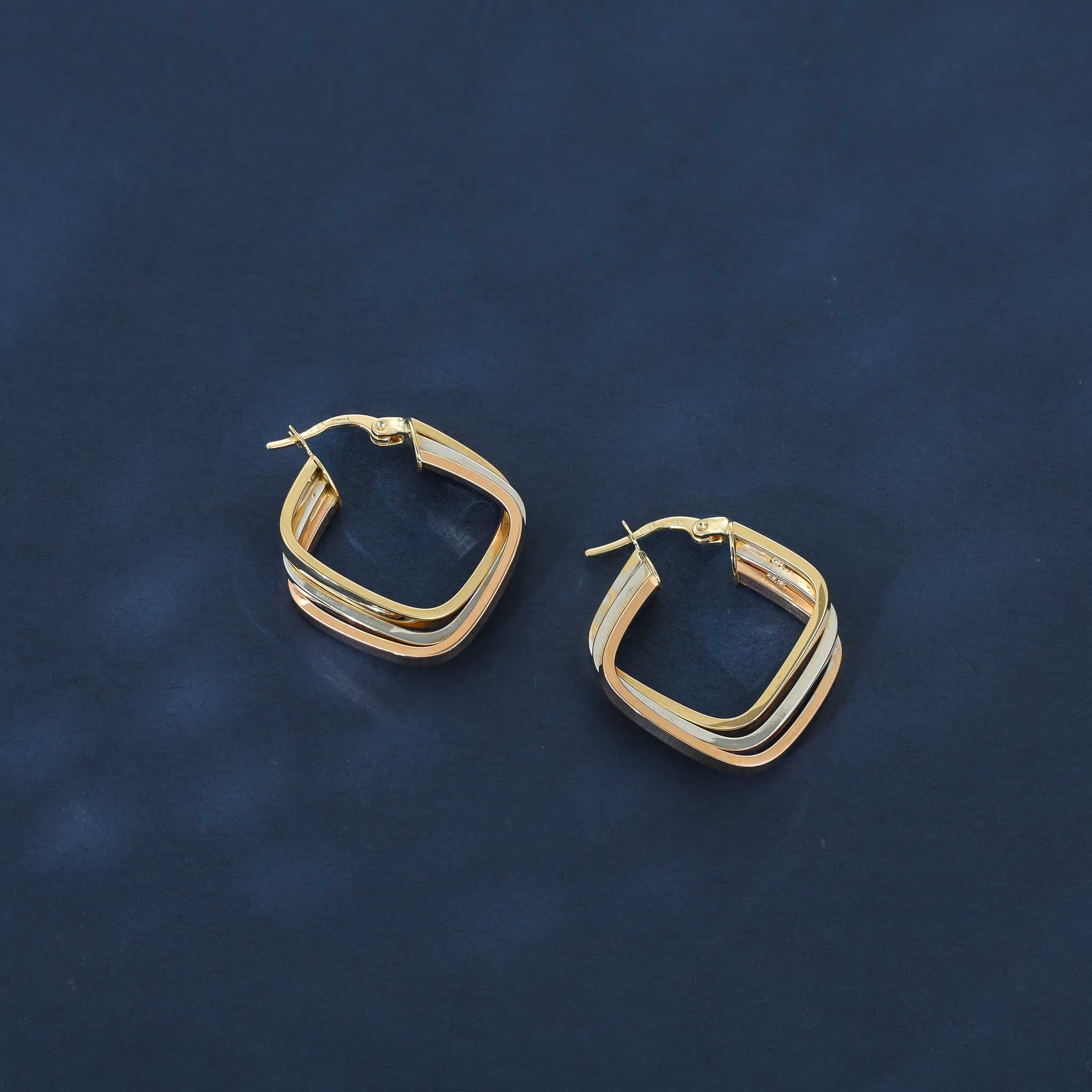 Crafted for Eternal Memories 9 Carat Gold Earrings Perfectly Crafted for You